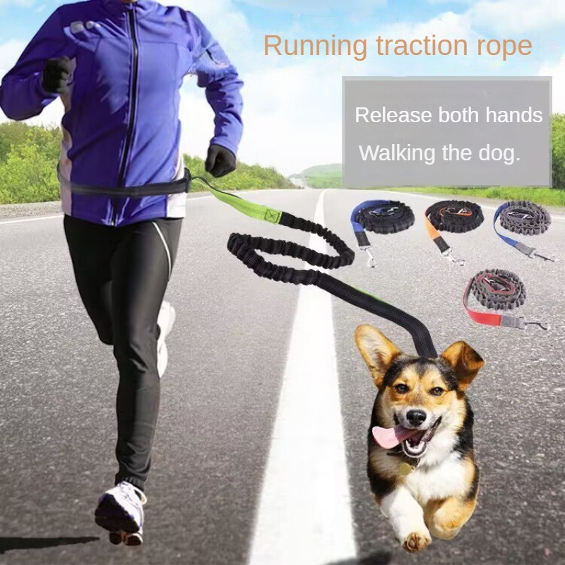 Running Zwift - Coleira de Cachorro Mãos Livres para