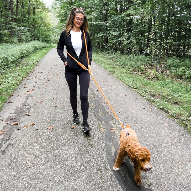 Coleira refletora para cães, q - Running Zwift avaliação e preço